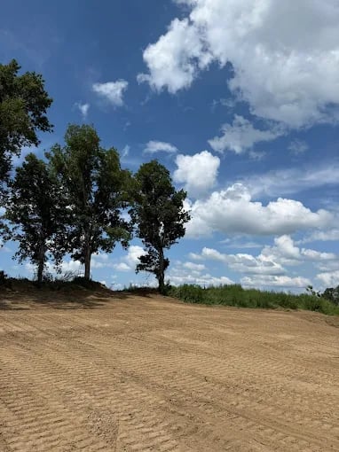 Two trees stand on bare earth against a cloudy blue summer sky
