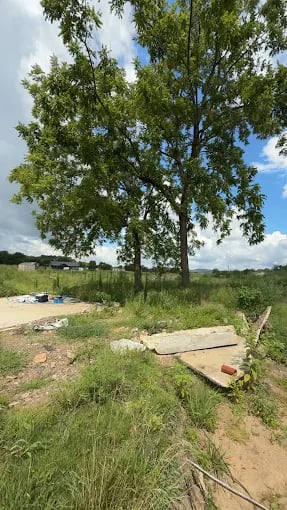 Large tree in grassy field with concrete slabs and scattered debris