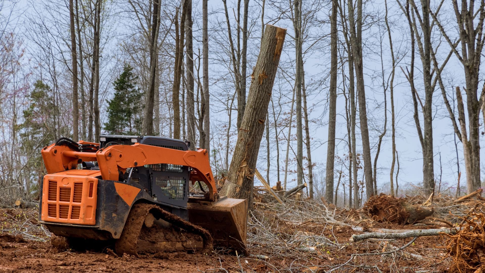 Orange skid steer clearing trees in a winter forest