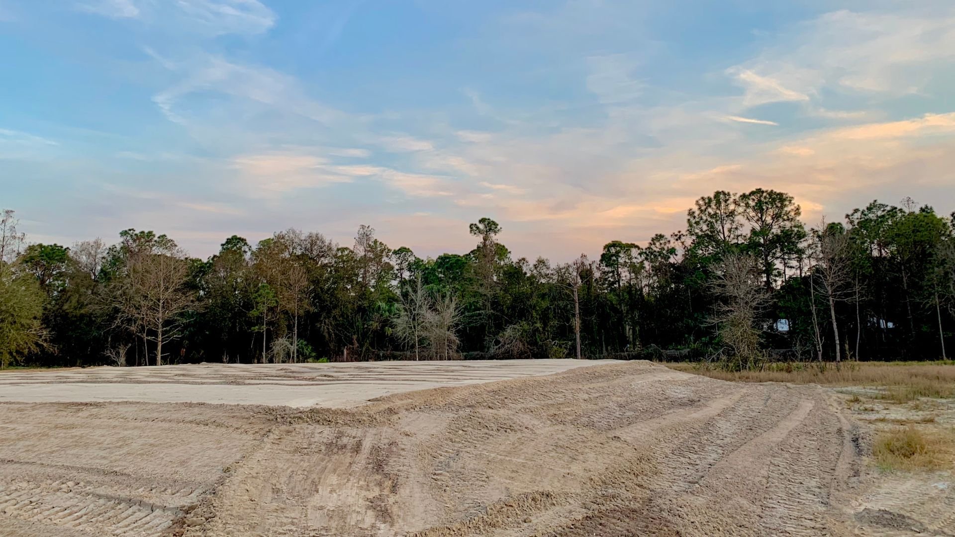 Cleared land with dirt ground, pine trees, and pastel sunset sky